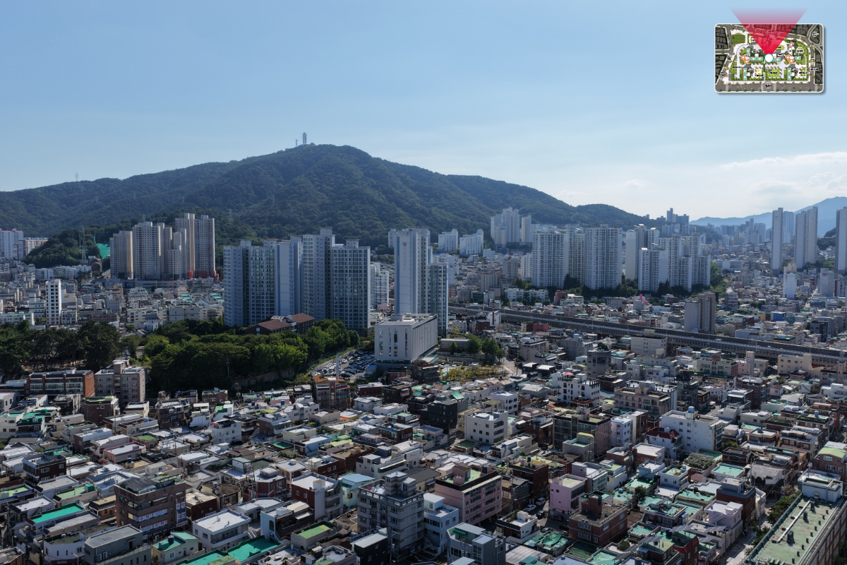 view_25_01